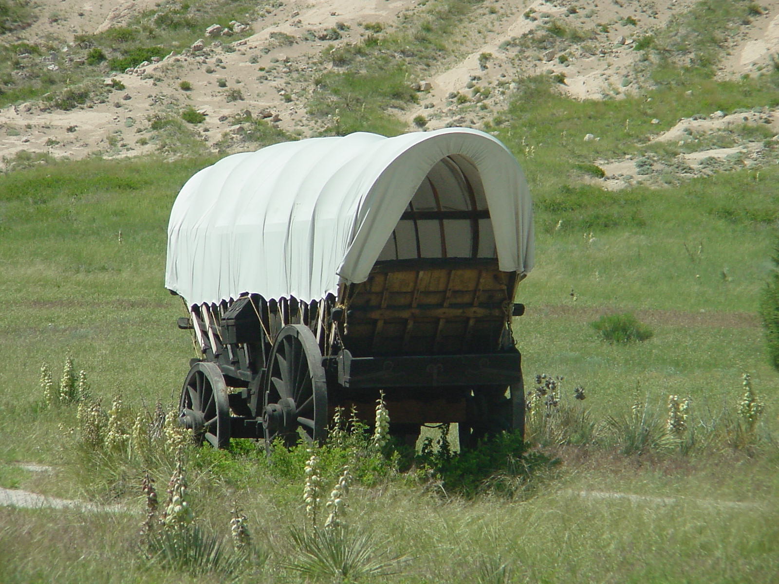 Image Wagon